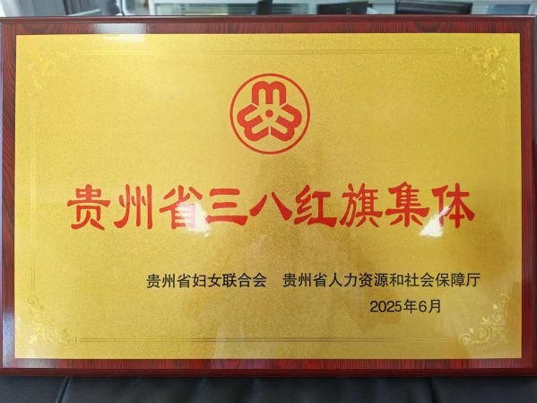 2025年贵州省三八红旗集体
